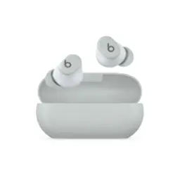 Beats Solo Buds Storm Gray
