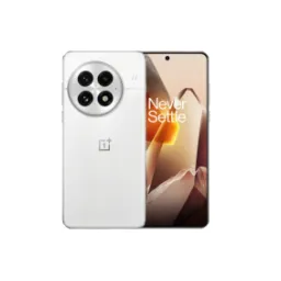 OnePlus 13