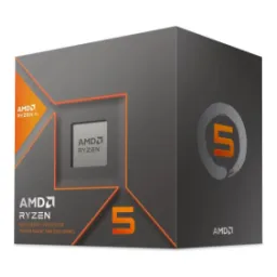 AMD Ryzen 5 8600G Box